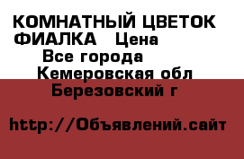 КОМНАТНЫЙ ЦВЕТОК -ФИАЛКА › Цена ­ 1 500 - Все города  »    . Кемеровская обл.,Березовский г.